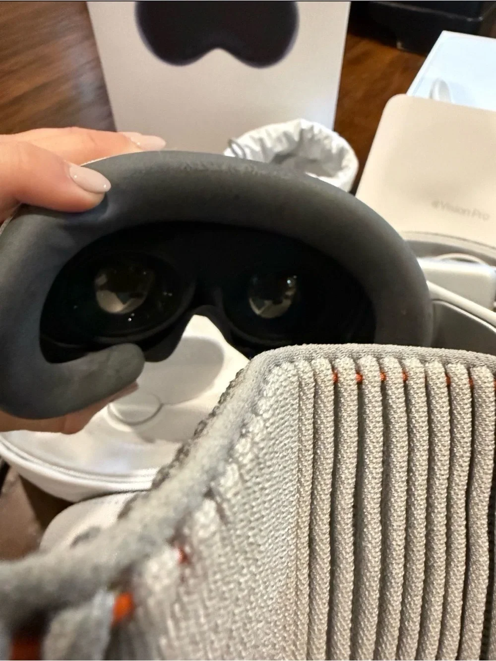 Apple vision pro
